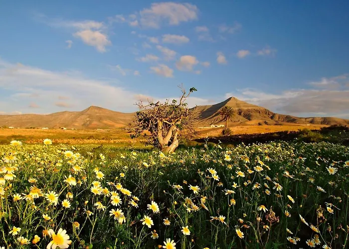Marine Lovers - Jacuzzi Fuerteventura *