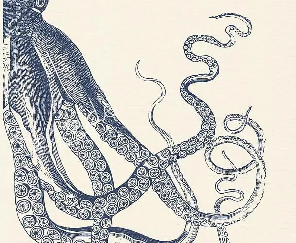 شقة Marine Lovers - Jacuzzi Fuerteventura *