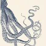 דירה Marine Lovers - Jacuzzi Fuerteventura *