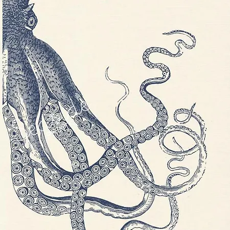 Daire Marine Lovers - Jacuzzi Fuerteventura *